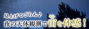 cherryblossom_bnr_300