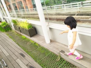 食後はまたテラスへ。ウッドデッキになっていて気持ちいい♪