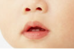 1歳半～2歳過ぎ、「乳臼歯」登場！鼻呼吸から口呼吸へ。赤ちゃんの虫歯予防第8回