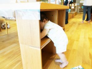 「とりあえず、なんでも見たい!」