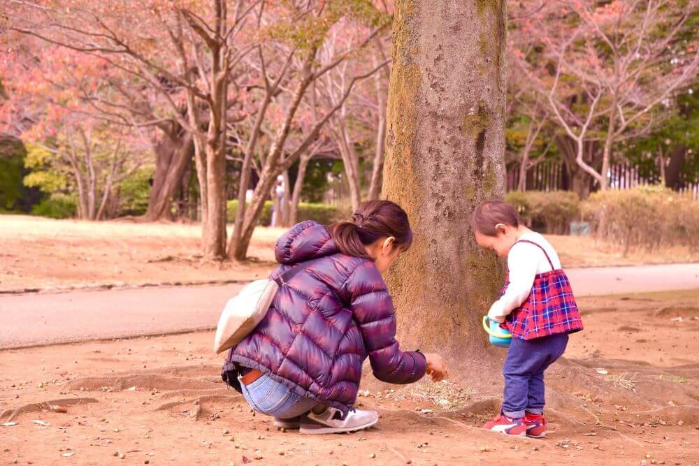 コレクション 公園 遊び 靴 冬