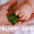 【予算1,000円】もらって嬉しいプチプラ出産祝い3選！おしゃれで気の利いたプレゼントはハミコ！